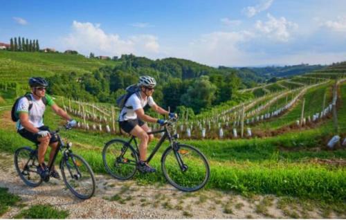 Jazda na bicykli v okolí ubytovania B&B Sul Garda