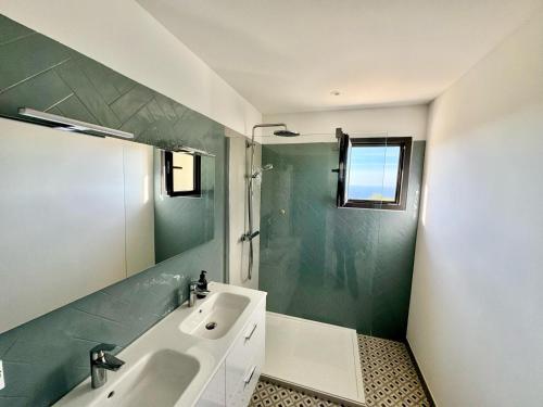 une salle de bain avec un lavabo, une douche et un miroir dans l'établissement Super villa moderne corbara vue mer, à Corbara