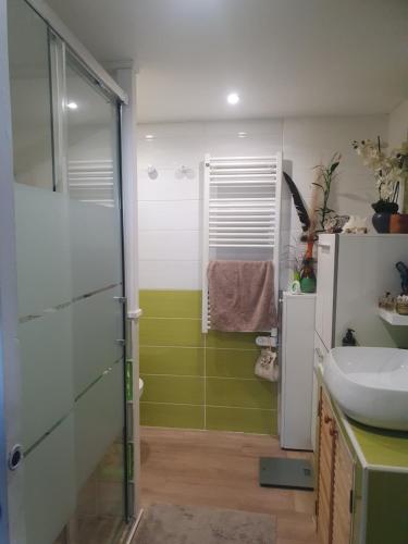 une salle de bain avec douche et lavabo dans l'établissement La petite mézoise, à Mèze
