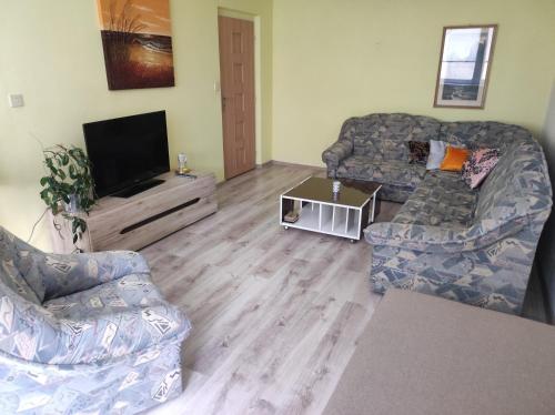 a living room with a couch and a tv at Apartmán City in Zvolen