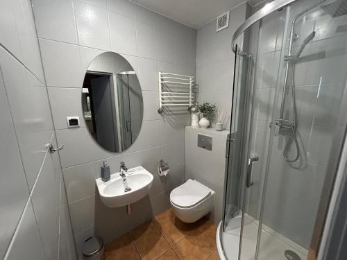 a bathroom with a toilet and a sink and a shower at Gościniec nad Zalewem Sosina in Jaworzno