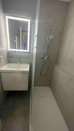 une salle de bain avec une douche, un lavabo et un miroir dans l'établissement Appartement coquet à Cannes avec piscine partagée / 40 m², à Cannes