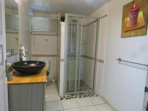 a bathroom with a glass shower and a sink at Appartement de 2 chambres avec terrasse et wifi a Gros Morne in Gros-Morne