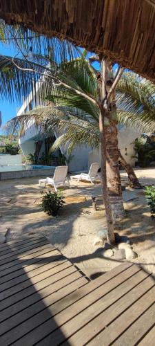 two chairs and a palm tree on a beach at Pacifico El Paredon in El Paredón Buena Vista