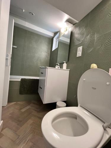 La salle de bains est pourvue de toilettes blanches et de murs verts. dans l'établissement La p’tite Hoguette, à Saint-Malo