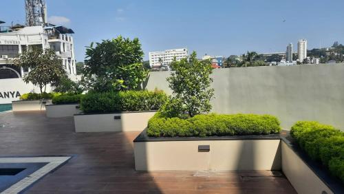 une rangée de plantes placées au-dessus d’un bâtiment dans l'établissement Gangothriii, à Trivandrum