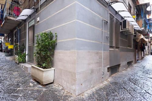 SOFIA HOUSE living in the heart of Naples