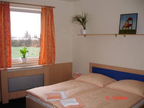 sypialnia z łóżkiem i oknem w obiekcie Sporthotel Vestec w mieście Vestec