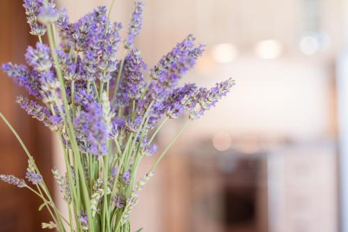 a bunch of purple lavender flowers in a vase at BorgoCuore in Todi
