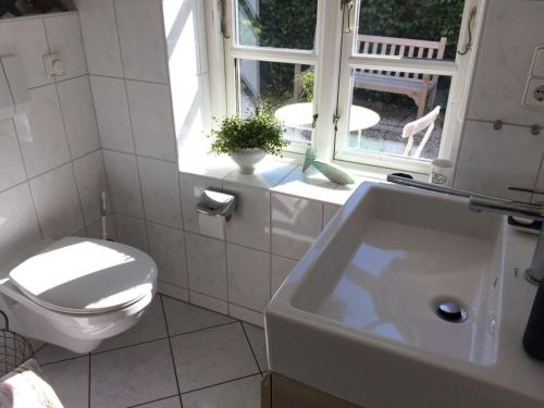 een badkamer met een toilet, een wastafel en een raam bij Holiday home Scheersbergkate in Steinbergkirche