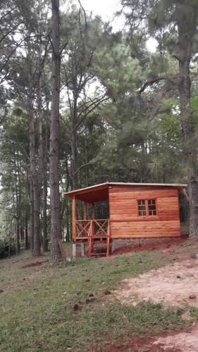 a small wooden cabin in the middle of a forest at Roca Cactus 