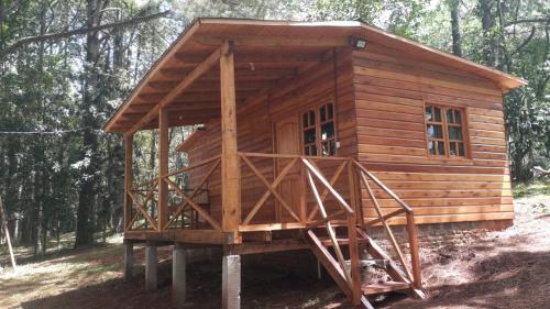 a wooden cabin in the middle of a forest at Roca Cactus 