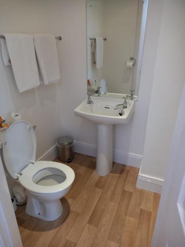 łazienka z toaletą i umywalką w obiekcie Carraig Rua w mieście Kilkenny