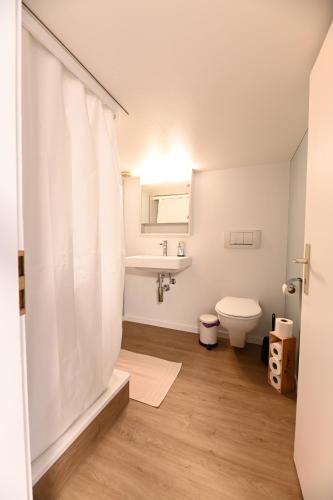 uma casa de banho com uma cortina de chuveiro branca e um WC. em Alter Zoll em Teufen