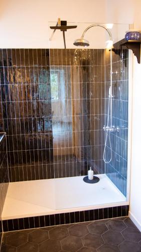 a bathroom with a shower with black tiles at Casa Gatti BnB Gastronomia e Benessere in Motto