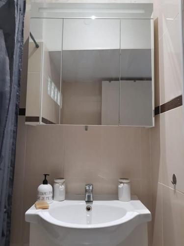 une salle de bain avec un lavabo blanc et un miroir dans l'établissement Cosy 3 Pièces Proche Mer, à Nice