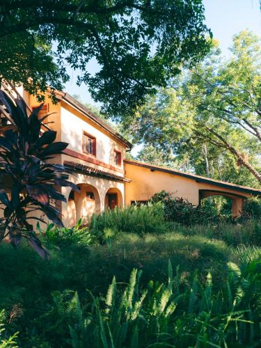 a house in the middle of a field with trees at Reserva Natural Iguazú - Posada Puerto Bemberg in Puerto Libertad