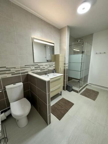une salle de bain avec toilettes, lavabo et douche dans l'établissement Appartement Dunkerque, à Dunkerque