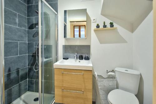 une salle de bain avec une douche, des toilettes et un lavabo dans l'établissement L'IRIS 8 min de la Gare Terrasse Netflix, à Nancy