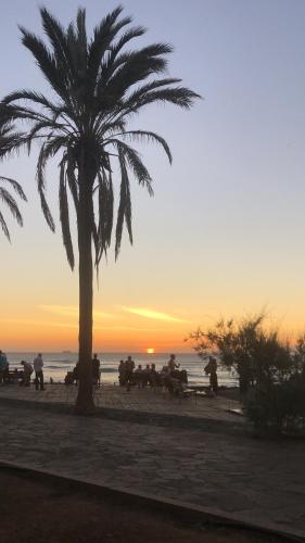 una palmera y gente en la playa con la puesta de sol en Furgoneta camperizada, en Playa de las Américas