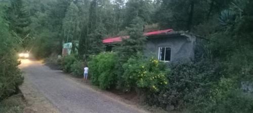 a person standing in front of a house on a road at Quinta de Monte luso in São Filipe