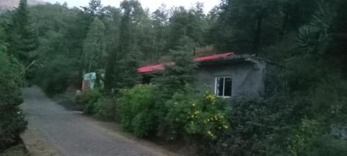 サン・フィリペにあるQuinta de Monte lusoの森の隣の未舗装の小屋