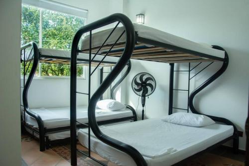 Ce dortoir comprend 2 lits superposés et une fenêtre. dans l'établissement Casa Campestre para la Familia, à Nilo