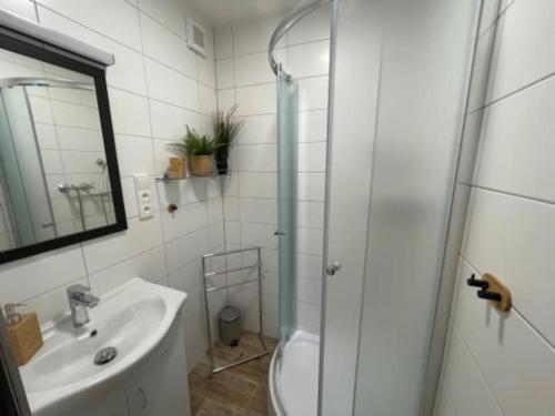 ein weißes Bad mit einem Waschbecken und einer Dusche in der Unterkunft Apartmán Strážný 7 in Strážný