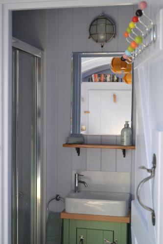 a bathroom with a sink and a mirror and a shower at Twin Barn Shepherd’s Huts in Norwich