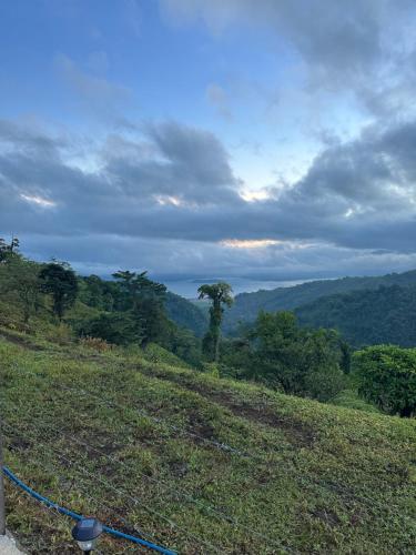 a view of a hill with a tree in the distance at Finca Del Cielo in El Castillo de la Fortuna