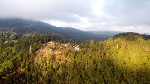 an aerial view of a forest of trees at San José del Pacífico- Cabañas Camino al Cielo 4 in El Pacífico