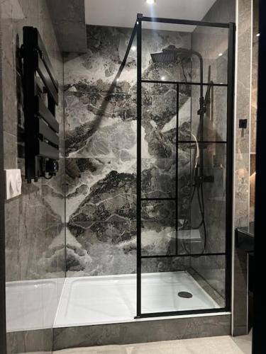 une douche avec une porte vitrée dans une salle de bain dans l'établissement Luxueux Appartement près de la Cathédrale, à Strasbourg