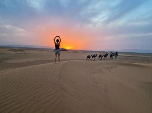 a man standing on the beach with a group of dogs at Bivouac ZAGORA in Zagora