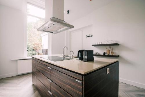 een keuken met een wastafel en een aanrecht bij Luxious Apartment Wilhelmina in Tilburg