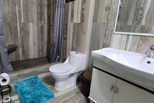 a bathroom with a white toilet and a sink at Travelholics Getaways in Piarco