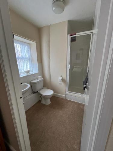 a bathroom with a toilet and a sink and a shower at White horse inn in Cromer