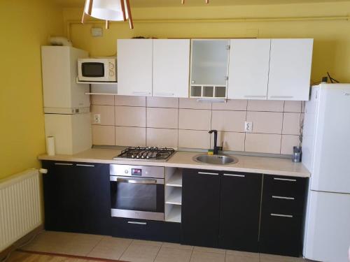 una cucina con lavandino e piano cottura forno superiore di Stejarului Apartament a Floreşti