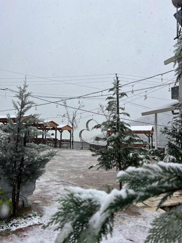 einen schneebedeckten Park mit einem Pavillon in der Unterkunft Hotel Tani in Ulëz