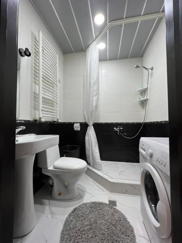 La salle de bains est pourvue de toilettes, d'un lavabo et d'une douche. dans l'établissement mimi, à Tbilissi