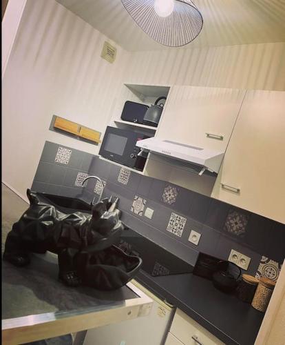 - une cuisine avec un comptoir et un ordinateur portable dans l'établissement Le Nuage de Jaude II, à Clermont-Ferrand