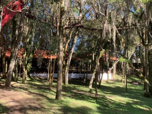 a group of trees in a yard with grass at Chácara.lazer.cxs in Caxias do Sul