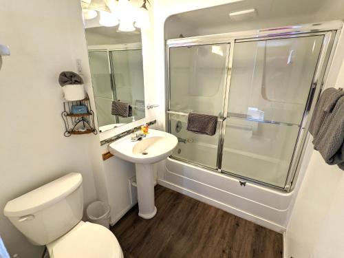 a bathroom with a shower and a toilet and a sink at Deerview Lodge & Cabins - Princeton BC in Princeton