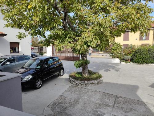 a car parked next to a tree in a parking lot at Bed and Breakfast Cattinara in Trieste