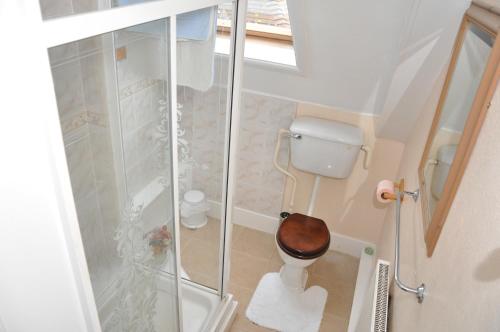 uma casa de banho com um WC e uma cabina de duche em vidro. em Chandos Premier Folkestone (Channel Tunnel) Hotel em Folkestone