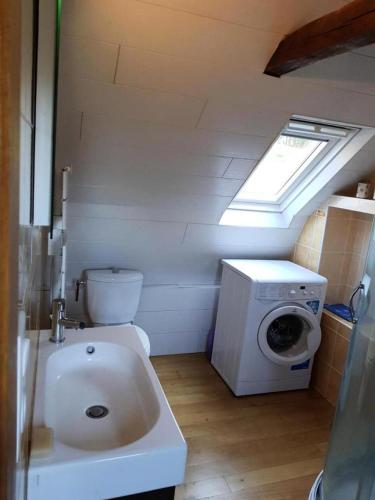une salle de bain avec un lavabo et une machine à laver dans l'établissement Gîte de France Le fournil des prades 2 épis - Gîte de France 2 personnes MAE-6414, à Soursac