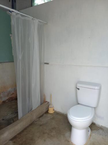 a bathroom with a white toilet in a room at fundo los merino in Milla 7