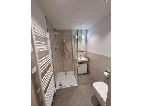 een badkamer met een douche, een toilet en een wastafel bij Holiday apartment Flurgarten in Langenargen