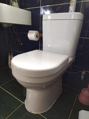 a white toilet in a bathroom with a roll of toilet paper at Cheers in Evander