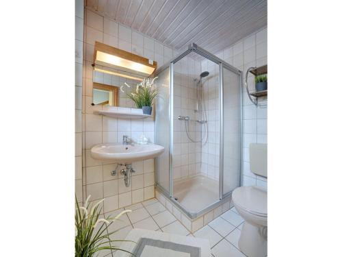 a bathroom with a shower and a sink and a toilet at Holiday apartment sunrise in Dänschendorf