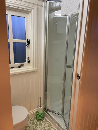 een badkamer met een douche, een toilet en een raam bij The Hut by the River in York